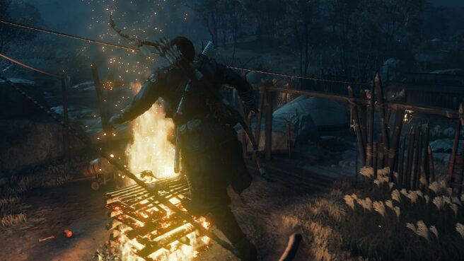 Ghost of Tsushima: Director's Cut (Picture 2)